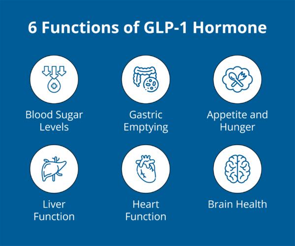 Gut Intelligence: How GLP-1 Hormone Shapes Your Health in 6 Ways ...