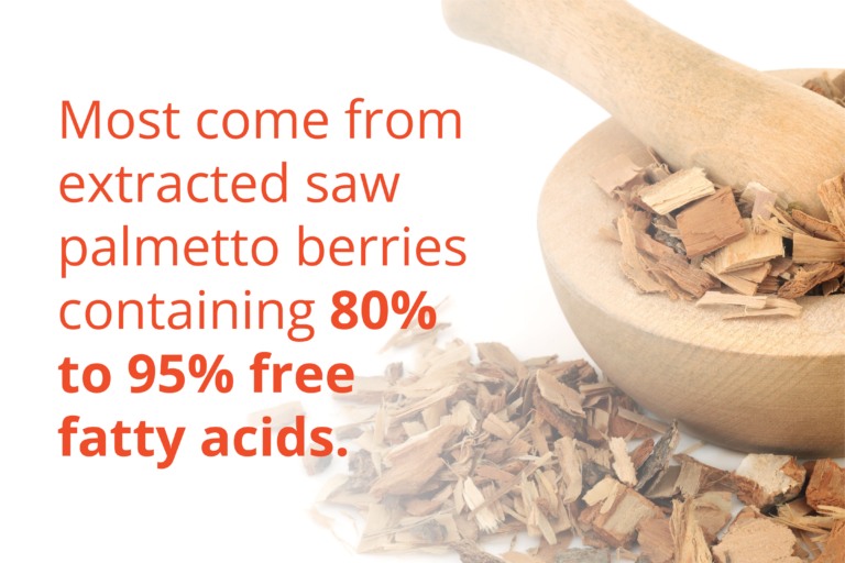 Why Saw Palmetto Supplements Shows Promise for Better Prostate Health